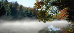 reiki nh