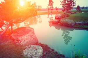 River of Light Energy Healing